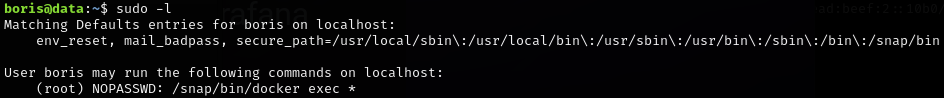 Sudo Binary